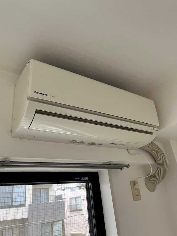 ステラトーショウ  その他7