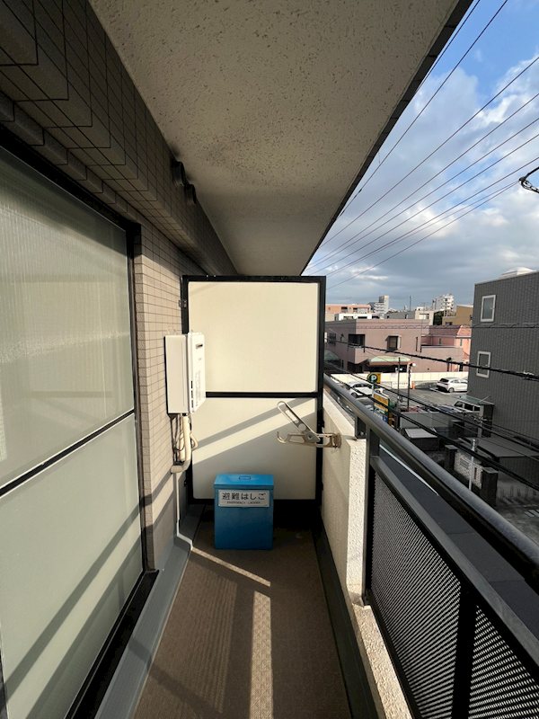 ステラトーショウ  その他8