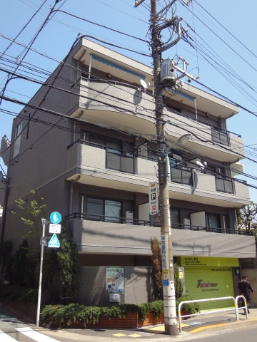 ステラトーショウ  その他9