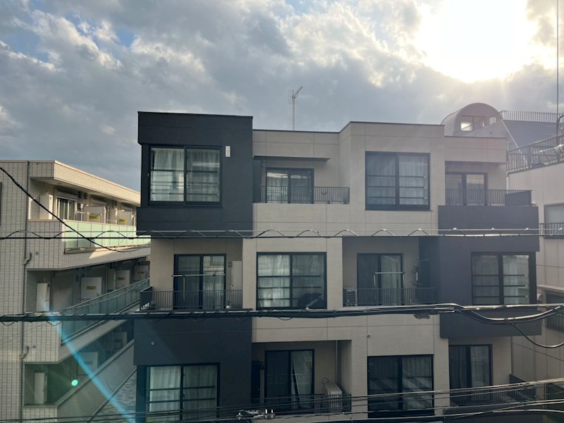 ステラトーショウ  その他9