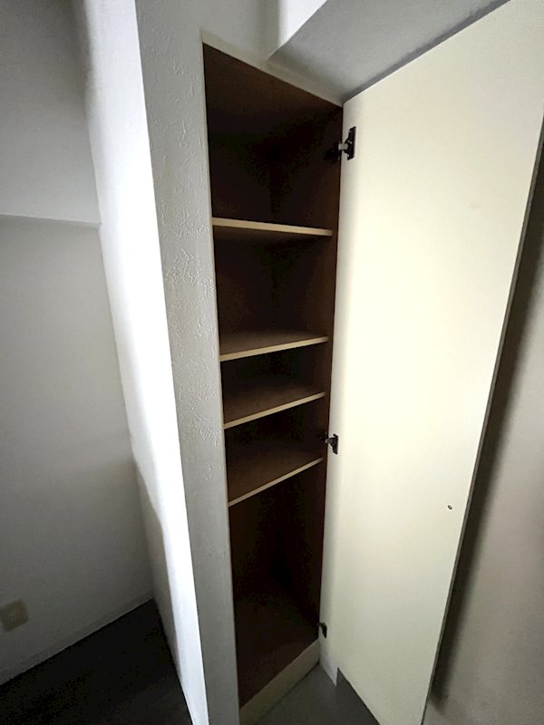 ステラトーショウ  その他10