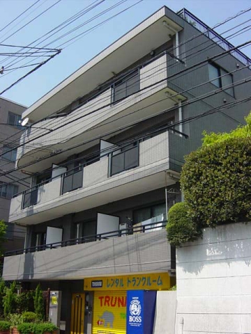 ステラトーショウ  その他10