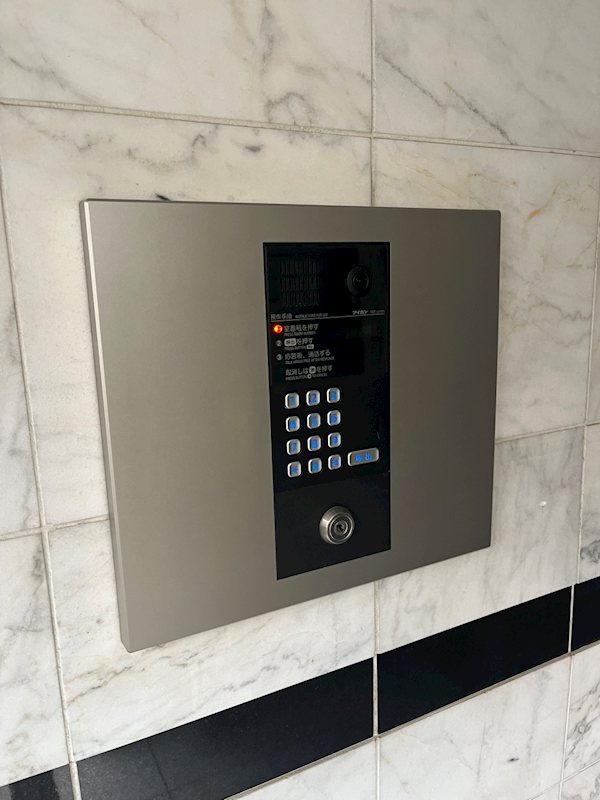 ステラトーショウ  その他12