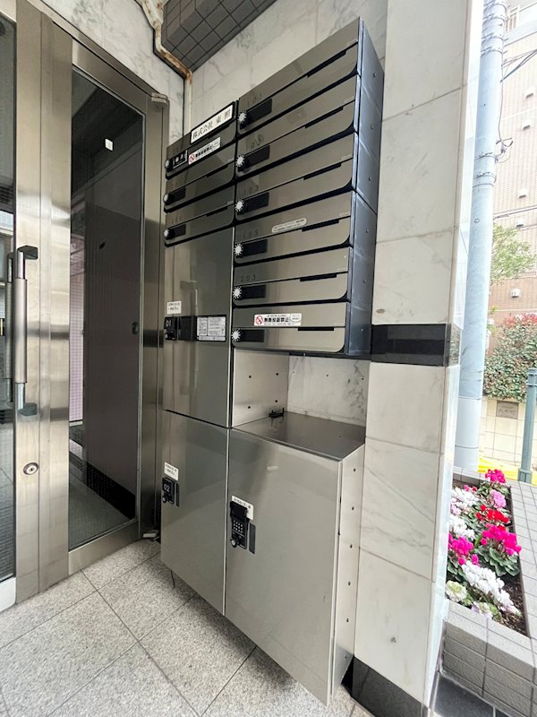 ステラトーショウ  その他13