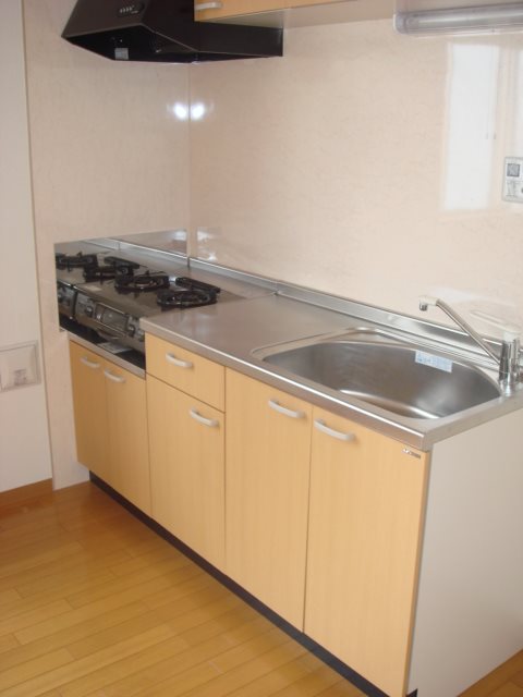 ルネス大井  キッチン