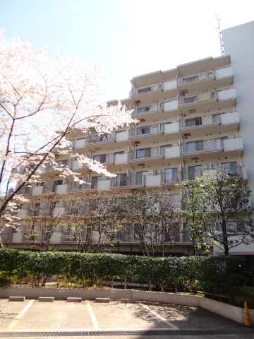 三越ゼームス坂マンション  その他11