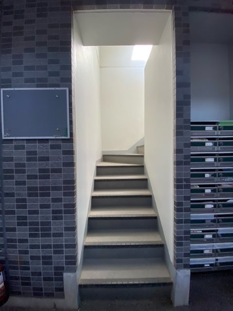 ステラK  その他1