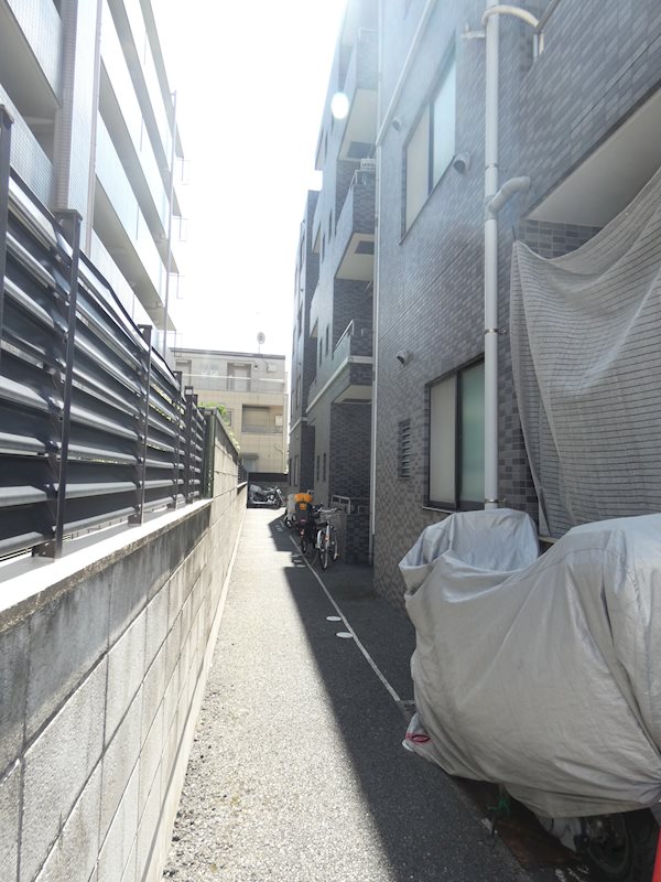 ステラK  その他5