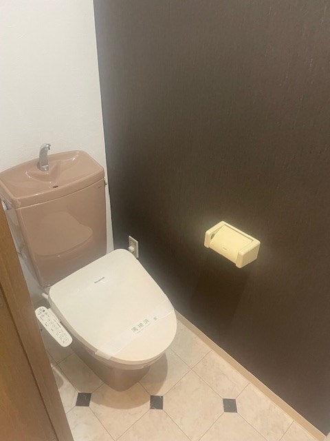 ステラK  その他3