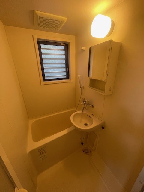 ステラK  その他8