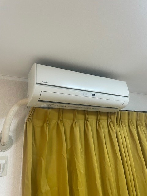 ステラK  その他11