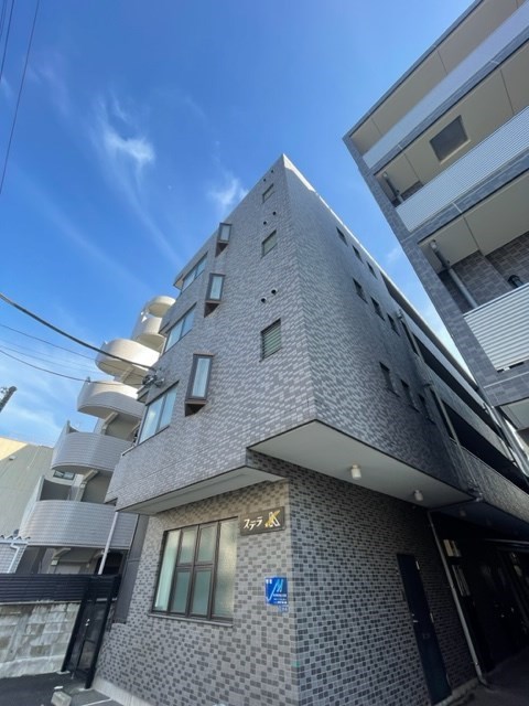 ステラK  その他14