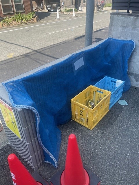 ステラK  その他15