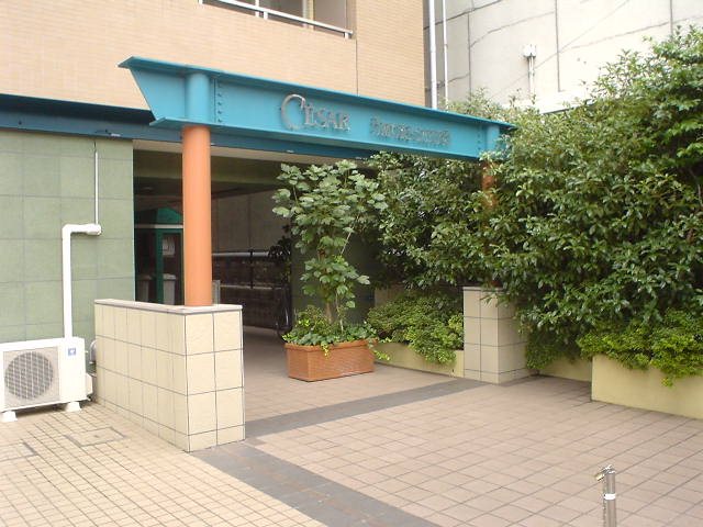 セザール大森山王 その他13