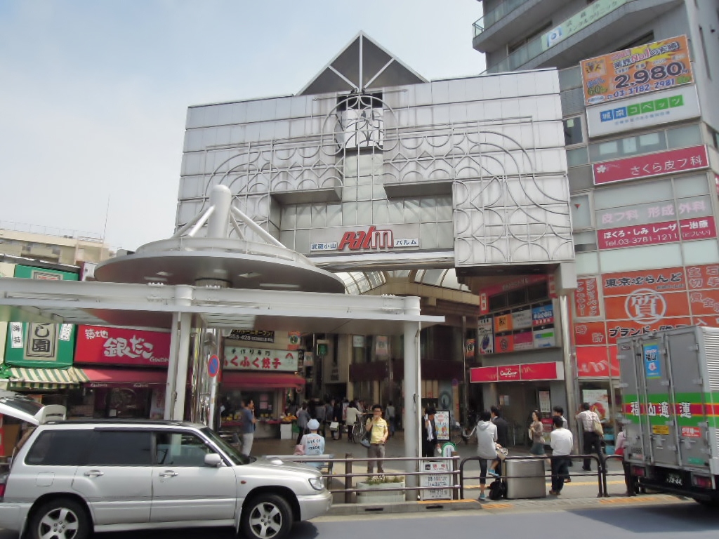 貸戸建（品川区小山3丁目） 周辺画像8