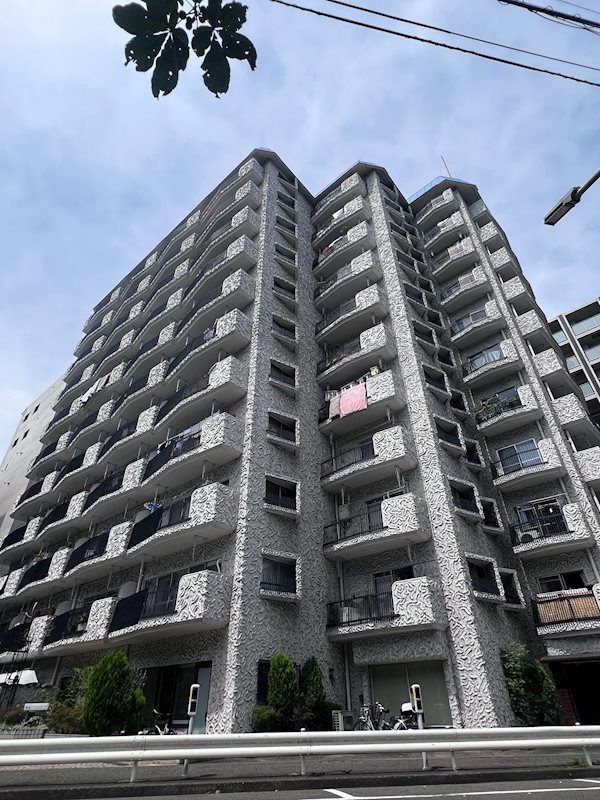 ヴィップ大森パークサイドマンション 509号室 外観