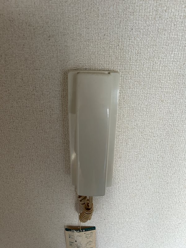 アローニアノムラ その他4