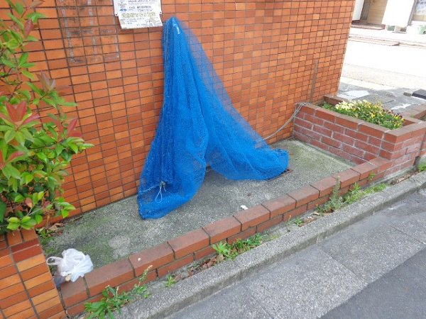 ハイム花房 その他10