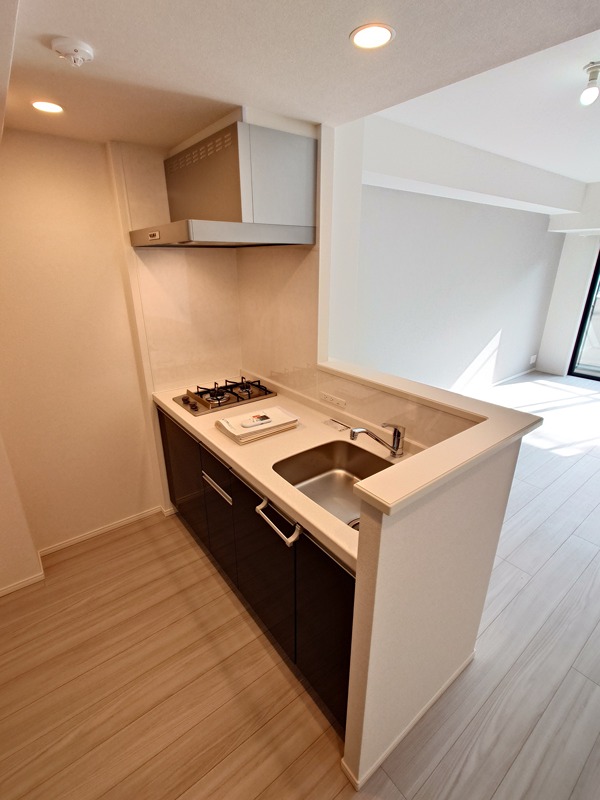 ＲＪＲプレシア大森北  キッチン