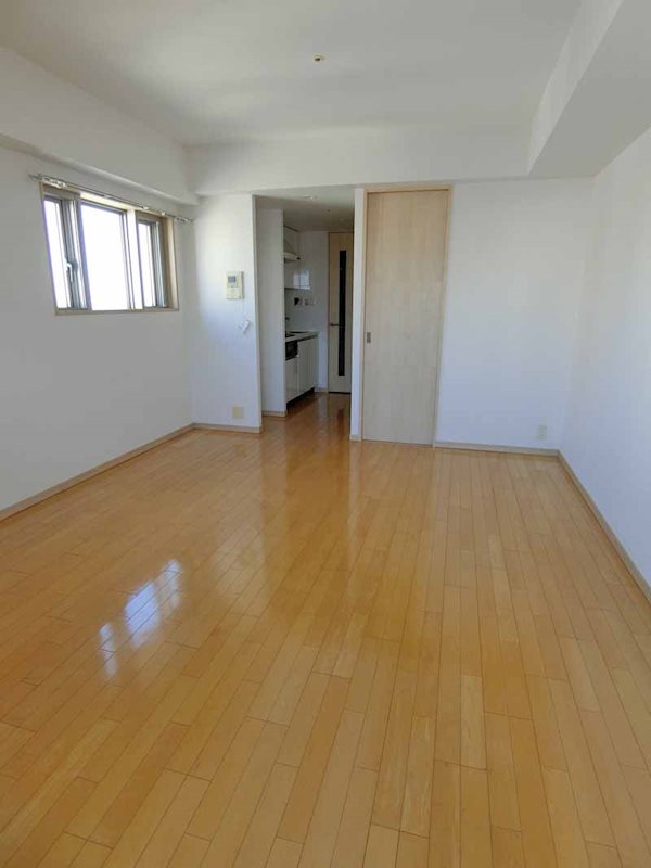 カスタリア大森 リビング