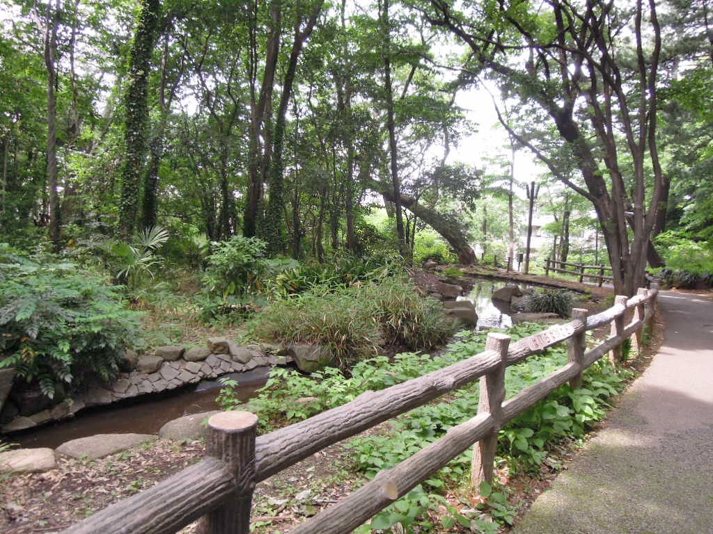 武蔵小山　３LDK　HOUSE  周辺画像7