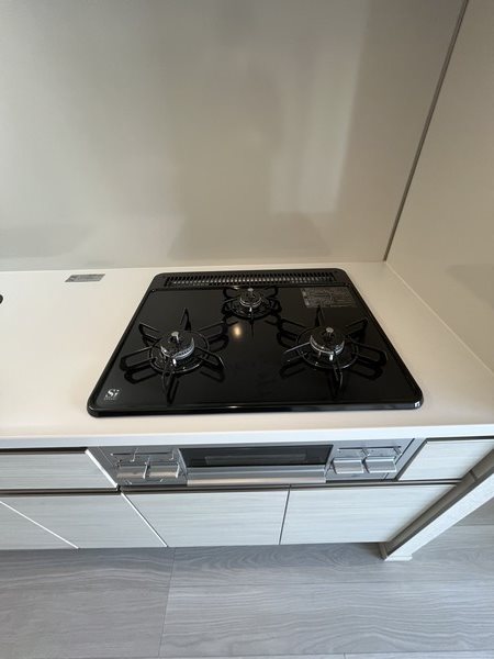 オーキッドレジデンス西大井  その他10
