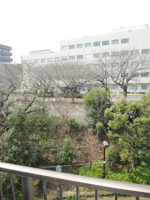 ハイツカワバタ その他8