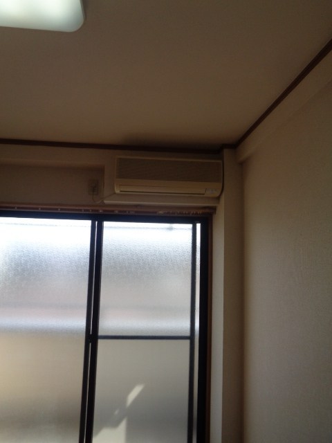 チェリーブラッサム その他4