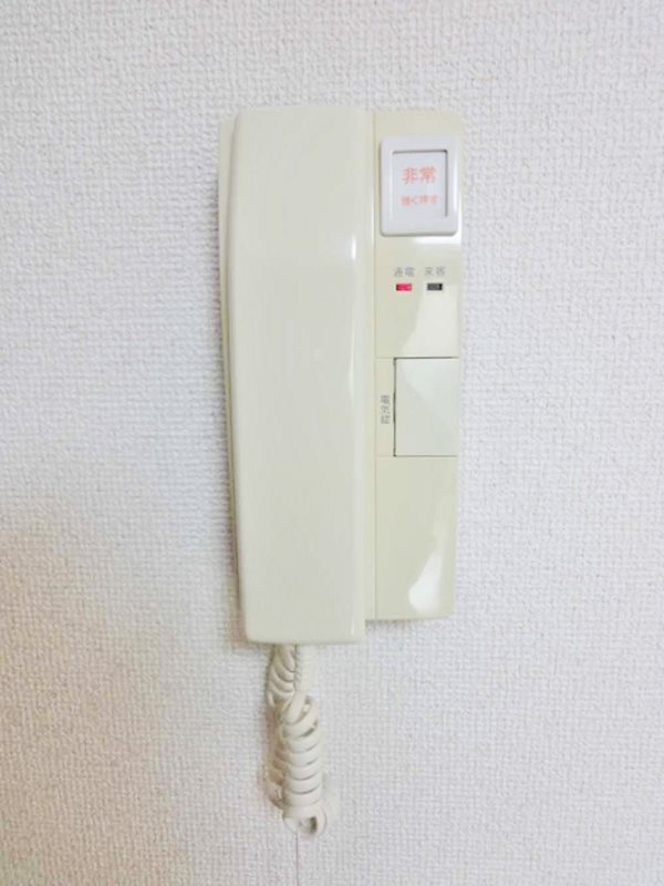 チェリーブラッサム その他2