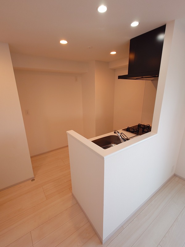 S－RESIDENCE大森bresa その他12
