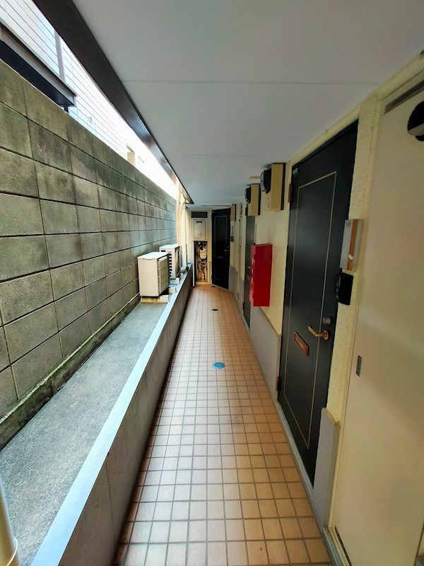 NEW　WAKATAKE  その他8