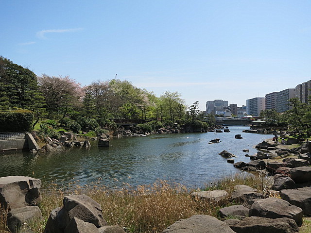 グレイスコート大森海岸 周辺画像8
