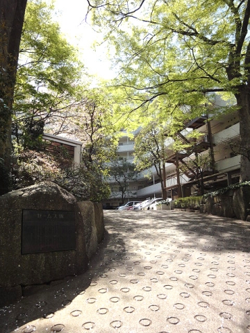 その他17