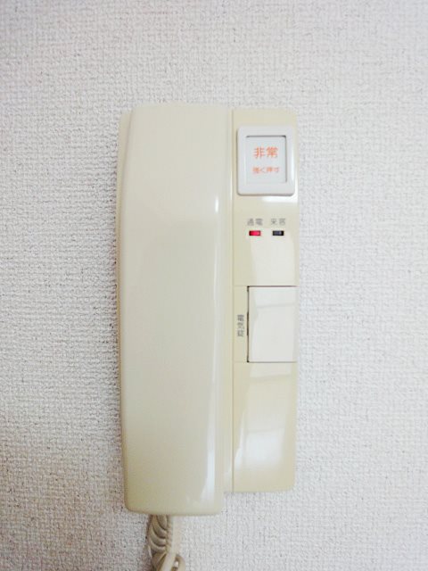 チェリーブラッサム その他6