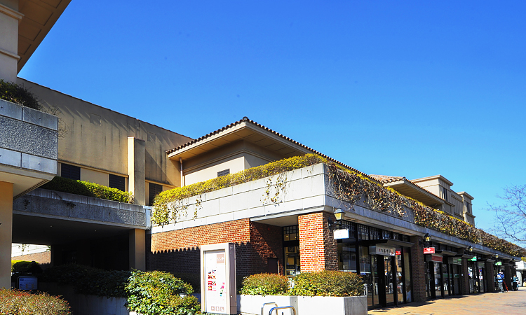 フレンシア玉川田園調布 周辺画像1
