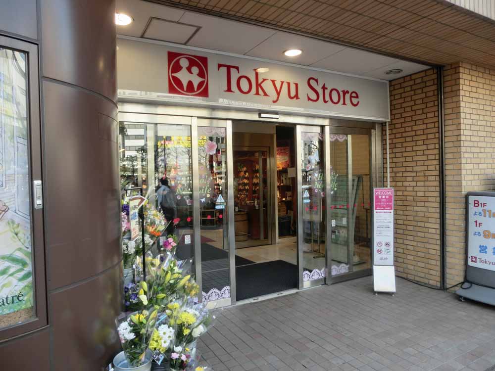 プラネソシエ大森山王 周辺画像8