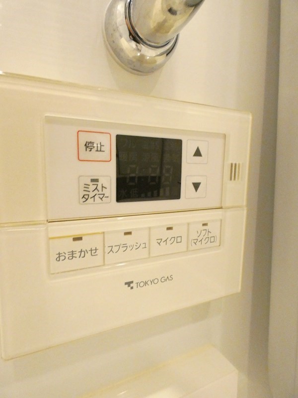 Brillia大井町ラヴィアンタワー その他21