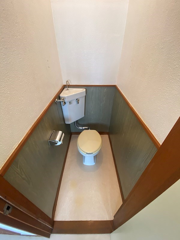 ハウスサンフラワー その他3