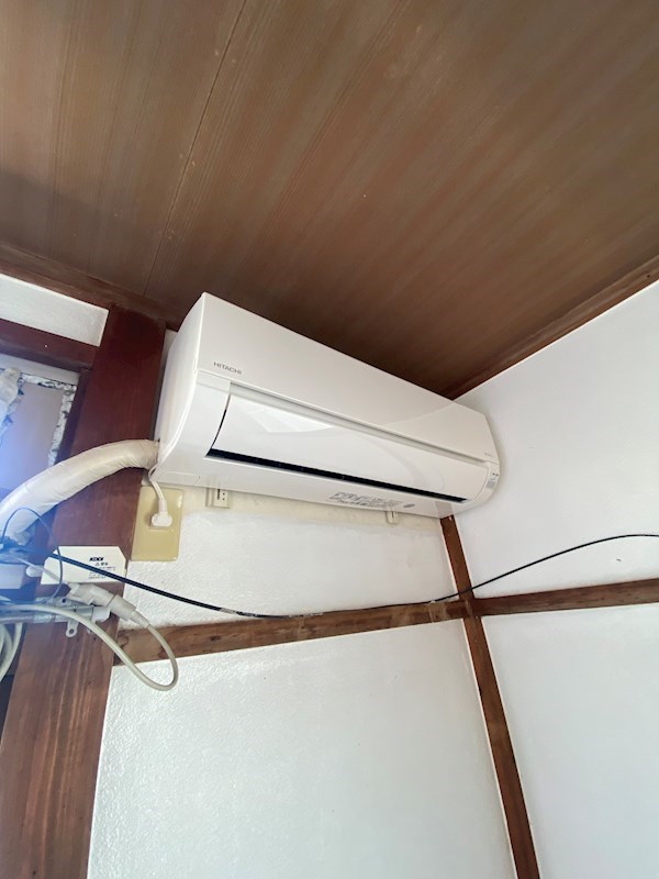 ハウスサンフラワー その他5