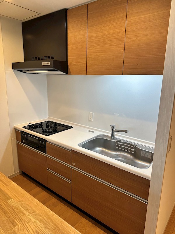 ラプンテシスヤマモト その他11