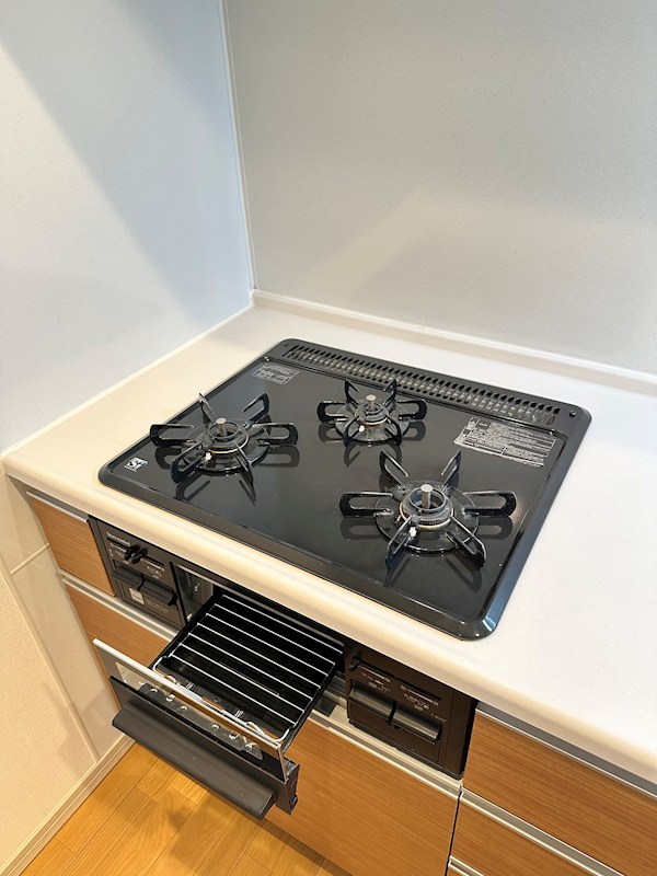 ラプンテシスヤマモト その他12