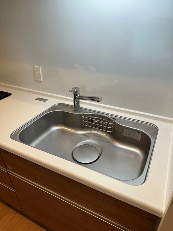 ラプンテシスヤマモト その他13