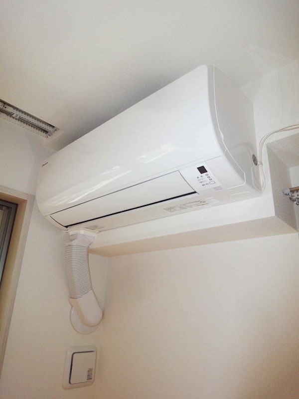 ラプンテシスヤマモト その他20