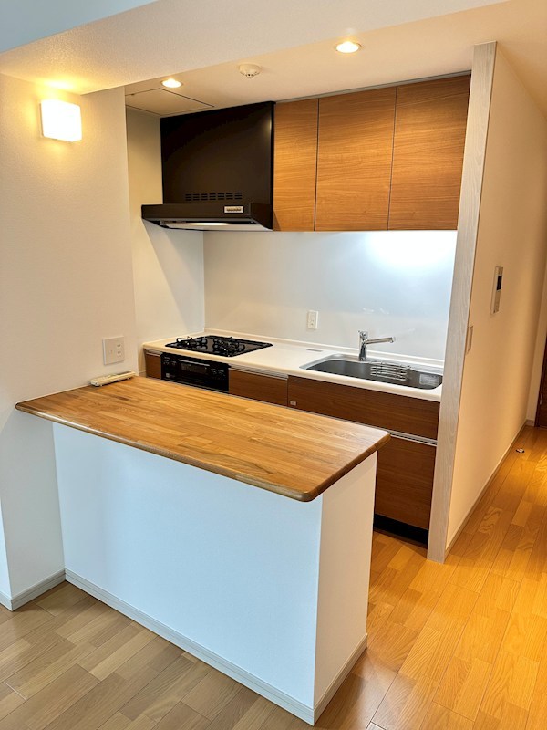 ラプンテシスヤマモト キッチン