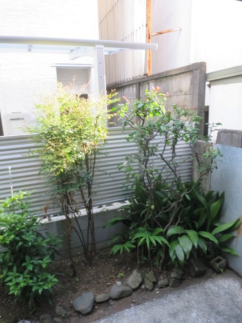 栄荘 その他9