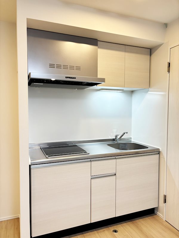 レピュア南大井レジデンス  その他11