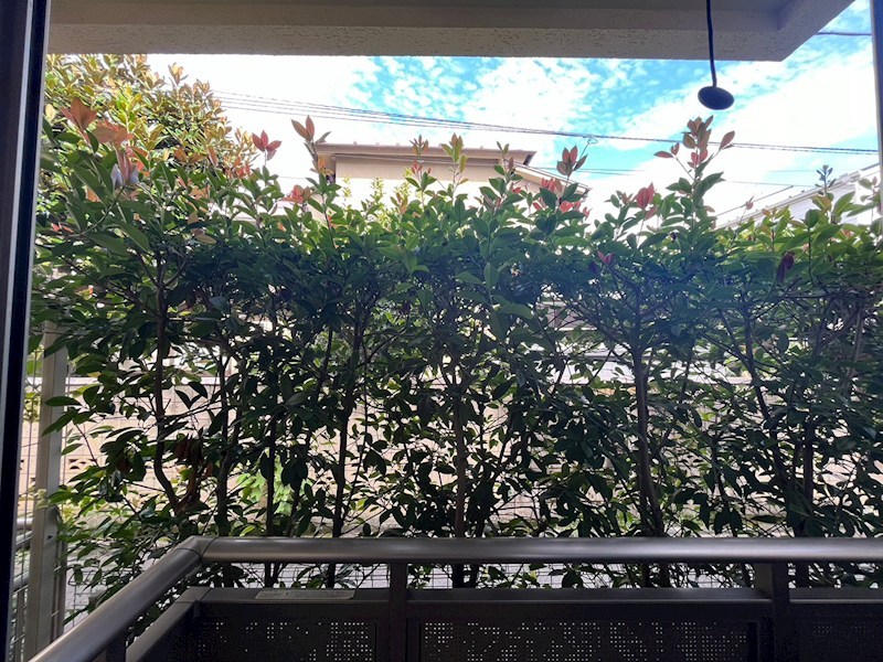 サウスウインド その他4