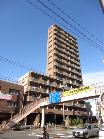 その他15