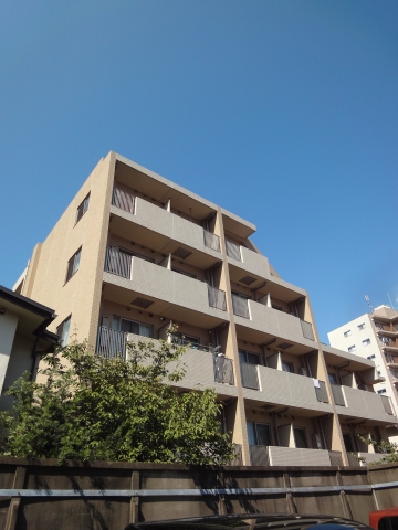 その他11