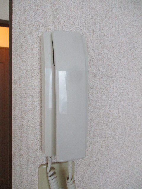 ステラK その他4